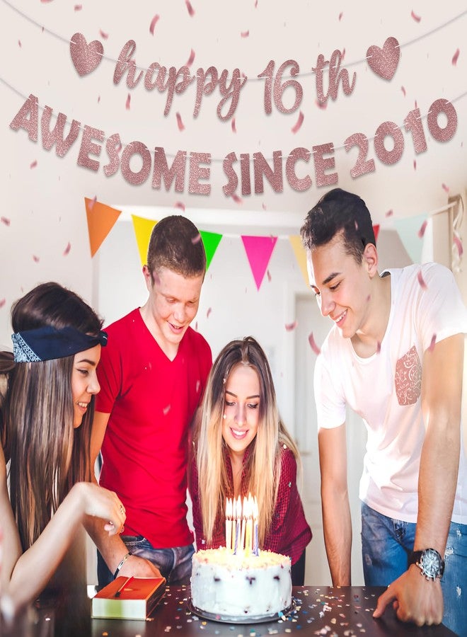 زينة حفلات عيد الميلاد السادس عشر من Eucutur باللون الوردي والذهبي الوردي للفتيات والسيدات، لافتة عيد ميلاد رائعة منذ عام 2010، لافتة معلقة لعيد الميلاد السادس عشر، دعائم تصوير، لافتة ديكور - Image 5